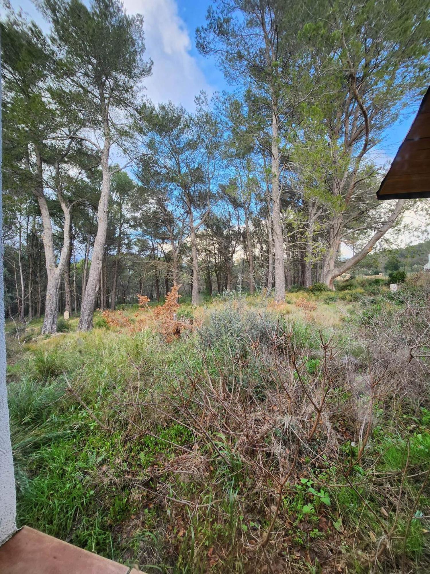 A L'Oree Des Pins - Gite Et Spa De 30 M2- Home Cinema Et Massage En Sup Cuges-les-Pins Exterior photo